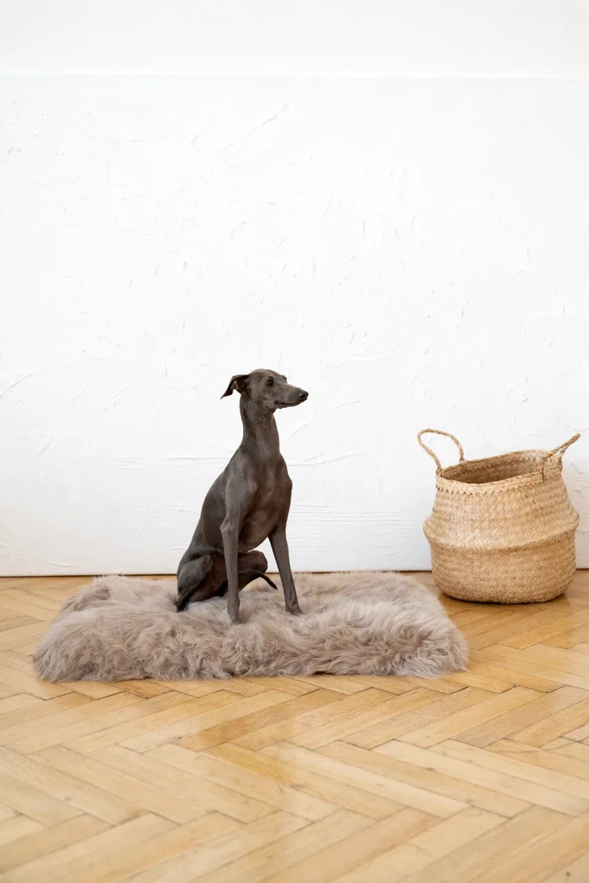 Square or Rectangular Natural Sheepskin Pet Mat - Greige-2