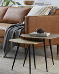 Zoey Nesting Tables - Clearance