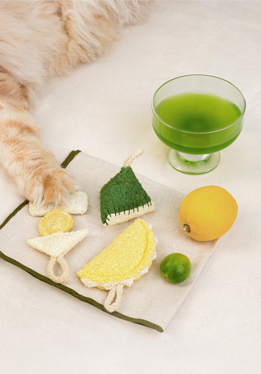 Natural Loofah Catnip Cat Toy Food Series-1